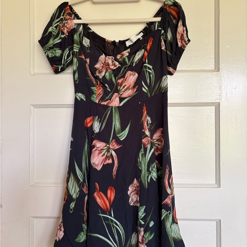 Astr Black Midi Dress with Pink & Green Floral Print